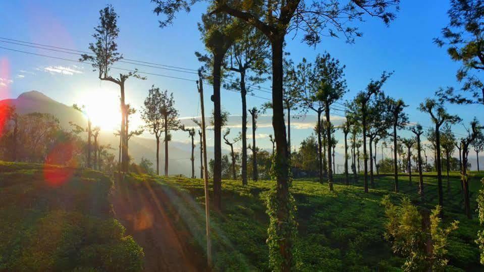 Gruenberg Tea Plantation Haus Bed & Breakfast Munnar Bagian luar foto