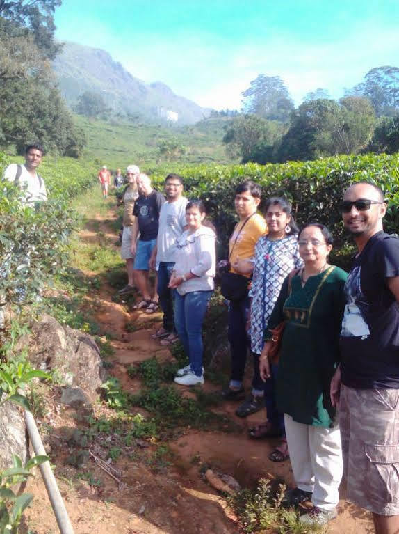 Gruenberg Tea Plantation Haus Bed & Breakfast Munnar Bagian luar foto