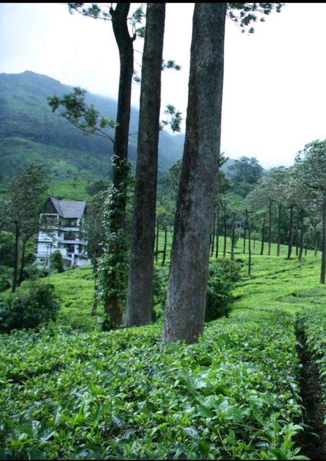 Gruenberg Tea Plantation Haus Bed & Breakfast Munnar Bagian luar foto