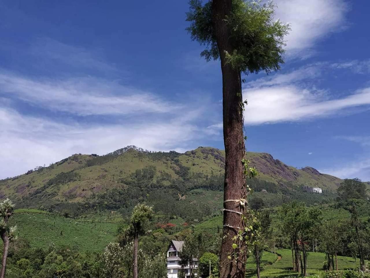 Gruenberg Tea Plantation Haus Bed & Breakfast Munnar Bagian luar foto